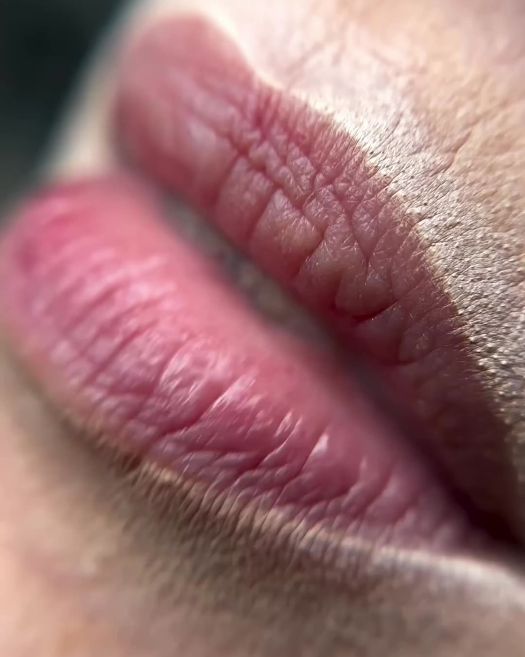 Labios Micro